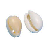 Sea Shell Beads Small Charms (Mixed Sizes 1 to 1.5 CMs, 50+ Pieces, 25 Grams Wt) With Hole Approx 2 MM For Jewellery Making Crafts Decoration